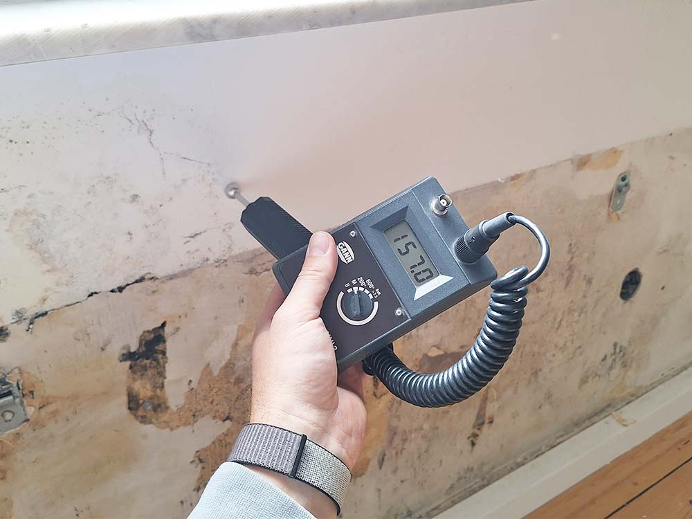 trocpro leckortung schimmelbeseitigung analyse