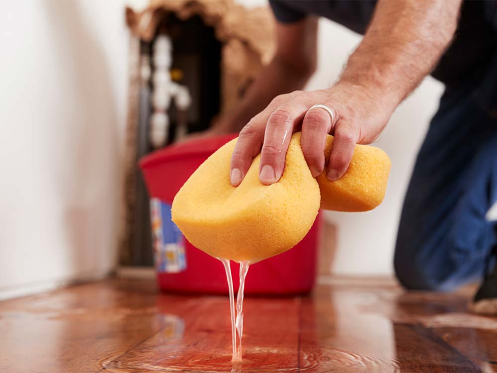 trocpro leckortung wasser im wohnzimmer