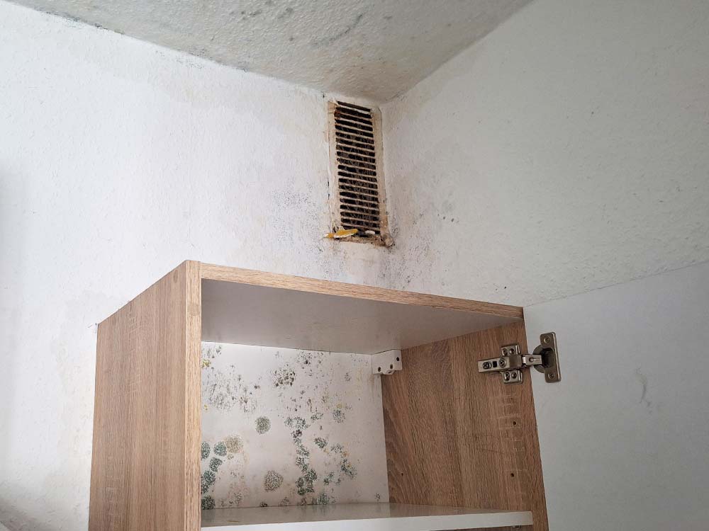 Ursachenfindung