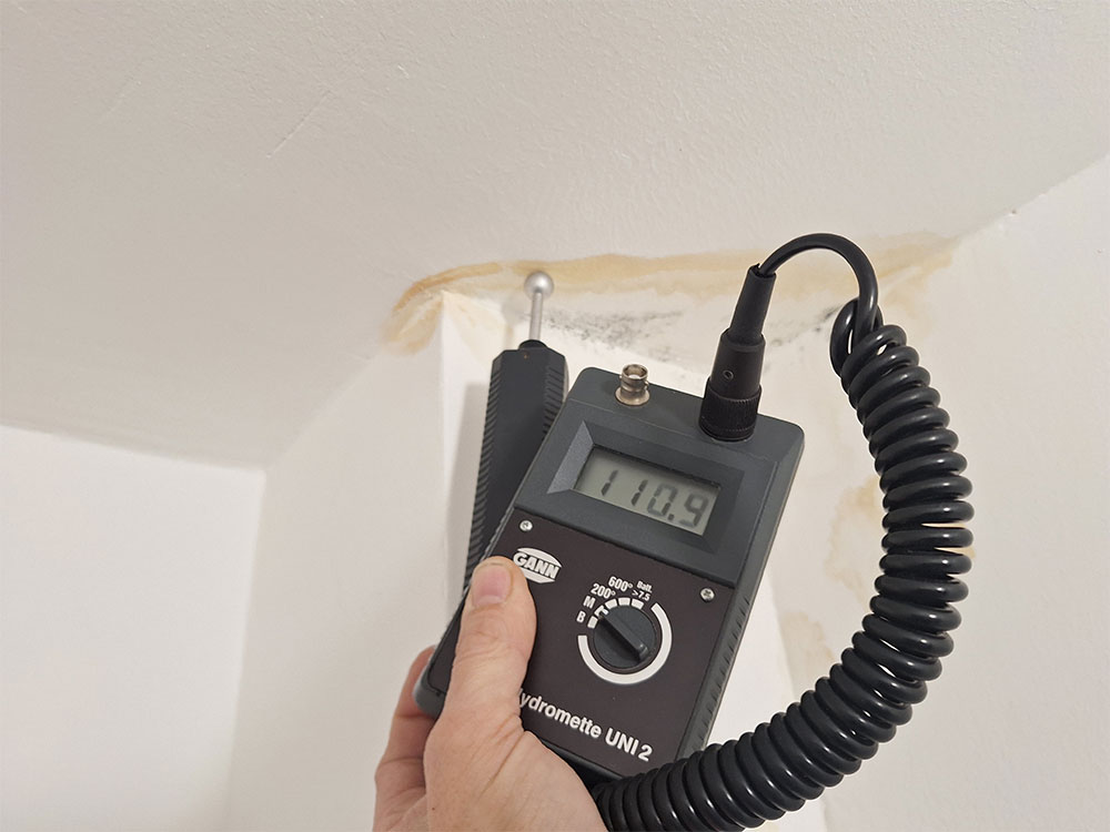 trocpro praezise feuchtemessung